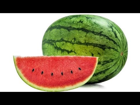 Видео: 315. Как вырастить арбузы в средней полосе. Личный опыт.