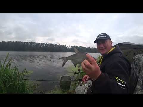 Видео: ЧТО ДЕЛАТЬ ЧТОБЫ КЛЕВАЛО ЦЕЛЫЙ ДЕНЬ!ПРАКТИЧЕСКИЕ СОВЕТЫ. СНЯЛ ПОКЛЁВКИ! ЛОВЛЯ НА ФИДЕР В СЕНТЯБРЕ!