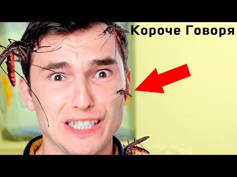 Видео: КОРОЧЕ ГОВОРЯ, ПОКУСАЛИ КОМАРЫ