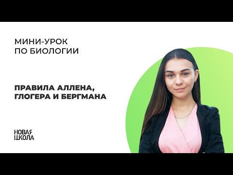Видео: НШ | Биология. Правила Аллена, Глогера и Бергмана