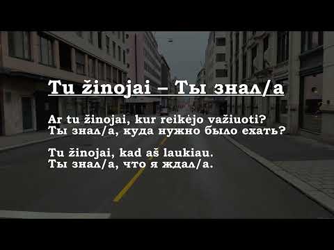 Видео: Урок 00375. Aš žinojau – Я знал/а.