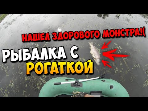 Видео: Рыбалка с рогаткой и дротиками с лодки | Наткнулся на монстра!( #32
