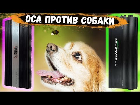 Видео: Apocalypse ASA-4000.1 VS AZ-13 AVANGARD-4000.1 в РЕАЛЬНЫХ условиях в БОЕВОЙ машине SPL #splhub