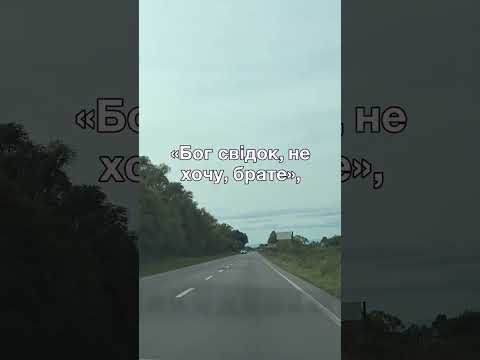 Видео: Дві невістки ледь не розсварили братів