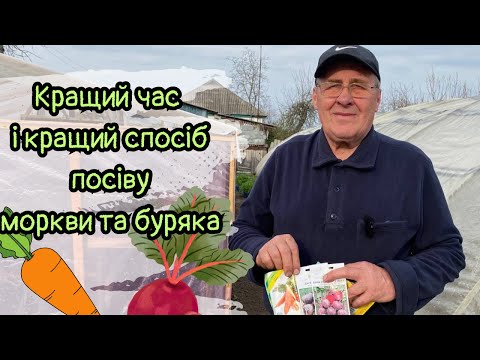 Видео: Кращий час і кращий спосіб посіву моркви та буряка
