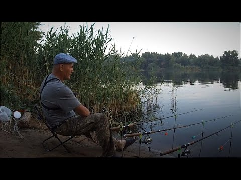 Видео: Вот так съездил на рыбалку, ели место нашел г Актобе р Илек июнь 2023г