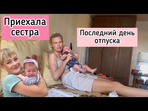 Видео: Знакомьтесь Юля/ Тёма боится карася/ пока Русса/ Пробралась в огород к сестре/ неприятности в Москве