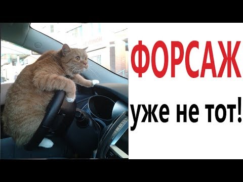 Видео: Лютые приколы. ФОРСАЖ УЖЕ НЕ ТОТ!!! Самое смешное видео! Засмеялся проиграл! – Domi Show!