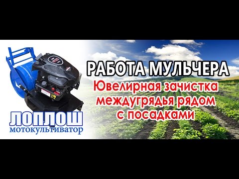 Видео: Работа мульчера / ЛопЛош / Мотокультиватор