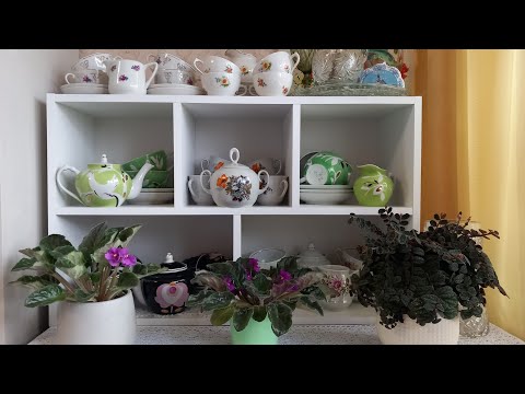 Видео: Уголок релакса - советская посуда и цветы 🥰☕️🌺 #советскаяпосуда #фарфорссср #цветы