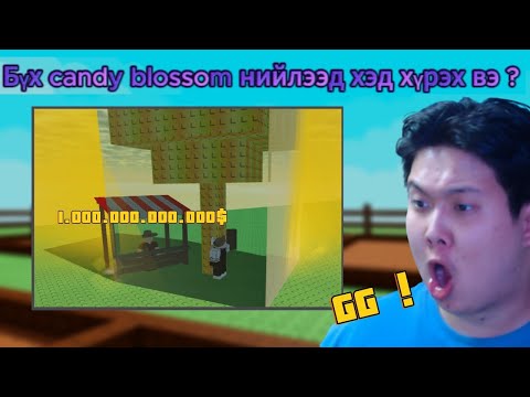 Видео: Бүх candy blossom-ийг нь зараад хэд хүрэв ?