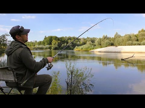 Видео: Такий Кльов Буває Не Часто. Фідер у Вересні на Десні