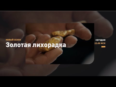 Видео: НОВЫЕ ВЫЗОВЫ | Золотая лихорадка | Discovery