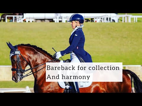 Видео: На переду? Убедитесь, что ваш сбор гармонирует с вашей лошадью.