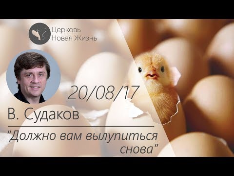 Видео: Виктор Судаков - Должно вам вылупиться снова