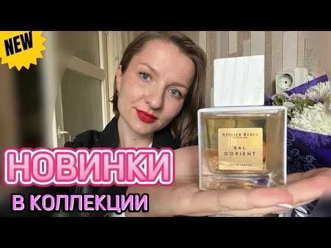 Видео: ЧТО НОВОГО? Новые ароматы на полке 💫