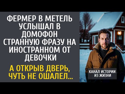 Видео: Фермер в метель услышал в домофон странную фразу на иностранном от девочки… А открыв дверь, ошалел..