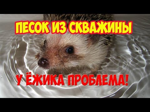 Видео: Тянет песок из скважины. Что делать?