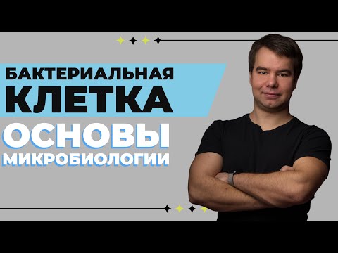 Видео: Структура бактериальной клетки
