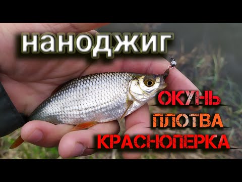 Видео: ЭТА ПРИМАНКА ВСЕГДА ВЫРУЧАЕТ | Рыбалка на сломе погоды | Наноджиг | Окунь, плотва, красноперка.
