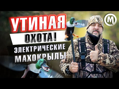 Видео: Утиная охота! Электрические махокрылы