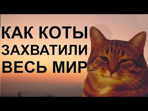 Видео: КАК КОШКИ ПРИРУЧИЛИ ЛЮДЕЙ (ДВАЖДЫ)