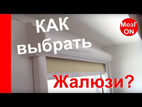 Видео: ЖАЛЮЗИ на пластиковые ОКНА? Выбирайте правильно!