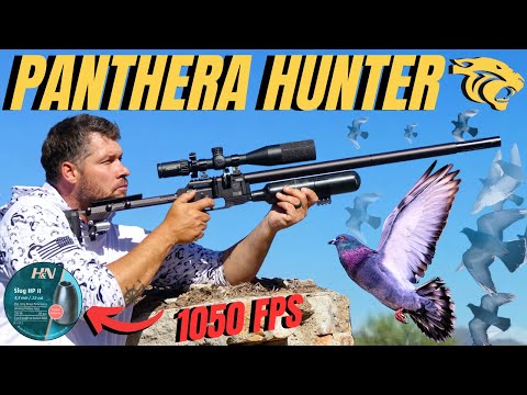 Видео: Дальнобойная пневматическая охота с Pantera I Пневматическое оружие для борьбы с вредителями на ф...