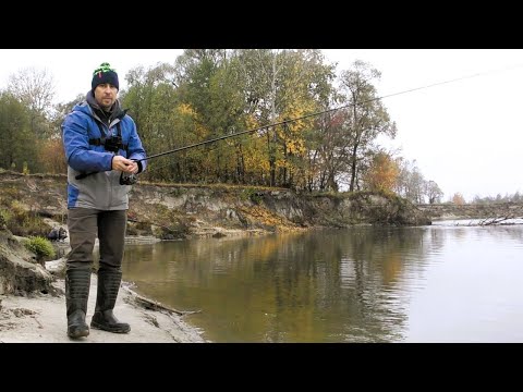 Видео: На Десні по Хижаку Стабільно. Ловимо Жереха
