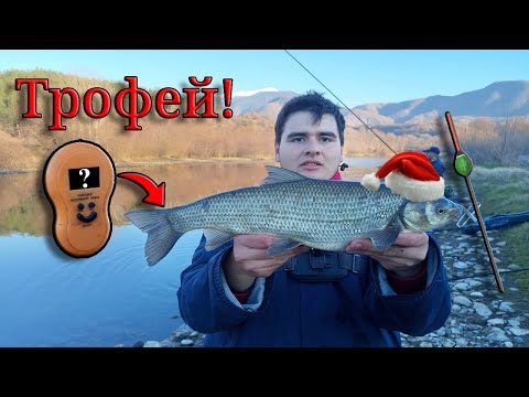 Видео: Риболов с БОЛОНЕЗЕ на ИЗТИЧАНЕ по река Струма в търсене на ТРОФЕЙНИ КОЛЕДНИ СКОБАРИ на ХЛЯБ!