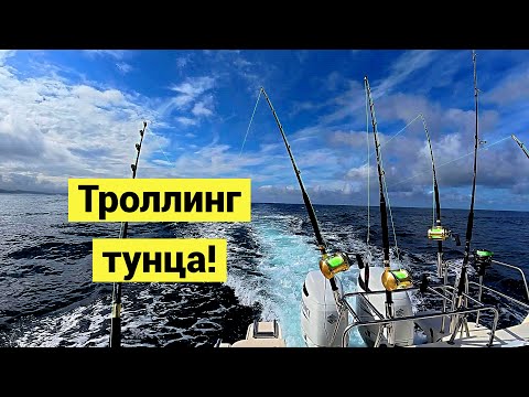 Видео: Соревнования "День Тунца" на Сахалине! Огромная рыба на огромные удочки на огромном катере!