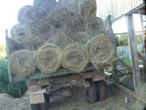 Видео: Закрытие сезона сенокос