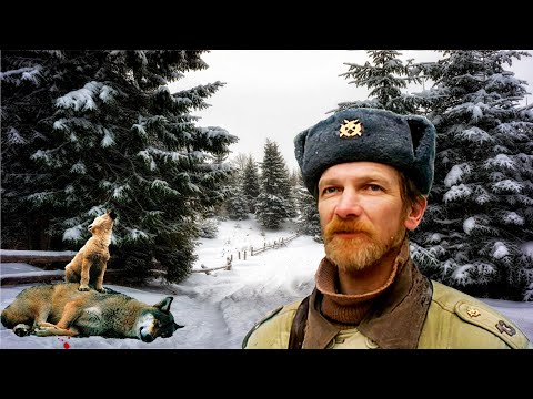 Видео: Лесник помог волчонку и его умирающей маме, после чего произошло невероятное!