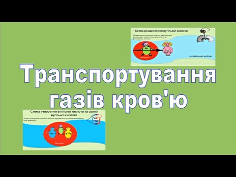 Видео: ТРАНСПОРТУВАННЯ ГАЗІВ КРОВ'Ю.Фізіологія