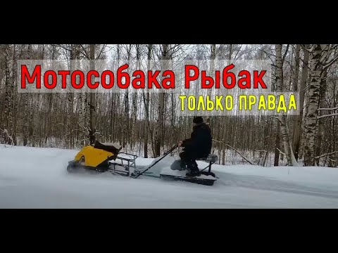 Видео: Мотобуксировщик - зимняя мототехника \ Как добирались до дома в лесу