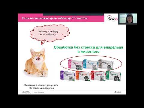 Видео: КРКА: Селафорт