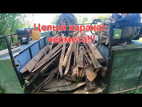 Видео: Норма выполнена.Полная загрузка караката.Металлокоп.