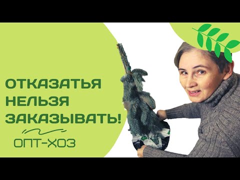 Видео: Вернулась к тому, с чего начала...Последняя посылка от ОПТ-хоз в этом году