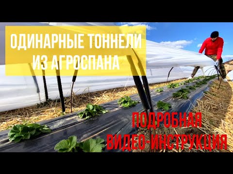 Видео: Тоннели из агроспана (агроволокна,пленки) для клубники .Подробная видео -инструкция
