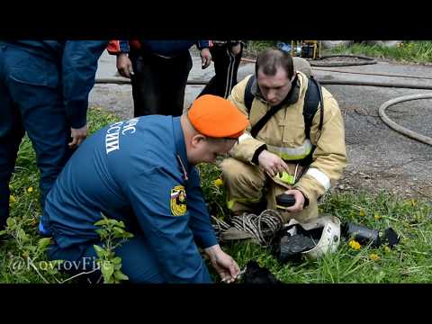 Видео: Откачали собаку после пожара