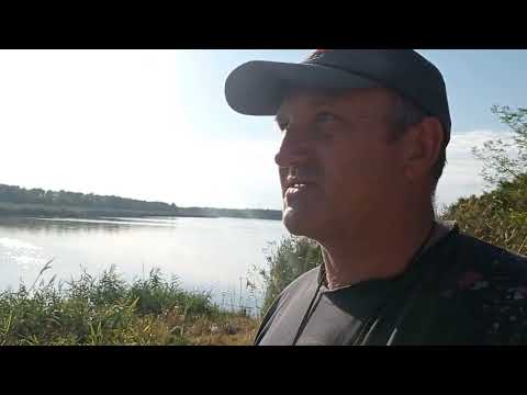 Видео: Поимка чёрного амура на поплавок,рыбалка и аплодисменты