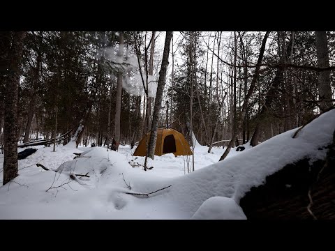 Видео: Одиночный кемпинг с горячей палаткой в ​​глубине кедрового болота