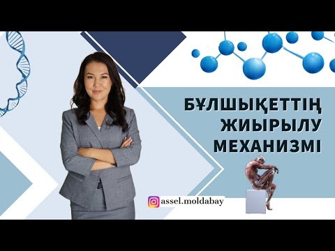 Видео: Биотехнология №7. Көлденең жолақты бұлшықет ұлпаларының құрылысы. Жиырылу механизмі