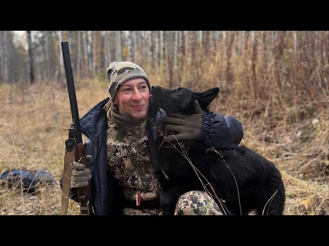 Видео: Зарисовки осени. Охота на рябчика.