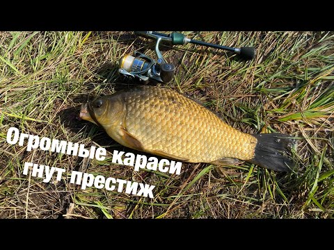 Видео: МОРМЫШИНГ x КРУПНЫЙ КАРАСЬ ГНЁТ DAYO PRESTIGE #95