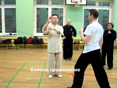 Видео: Ван Лин Тайцзи Ян 24 формы Завершение