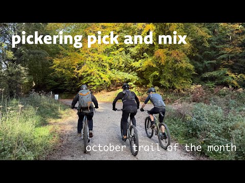 Видео: Pickering Pick and Mix | Октябрь | Маршрут месяца Polaris Bike
