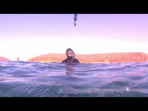 Видео: Подводная охота Японское море апрель 2022