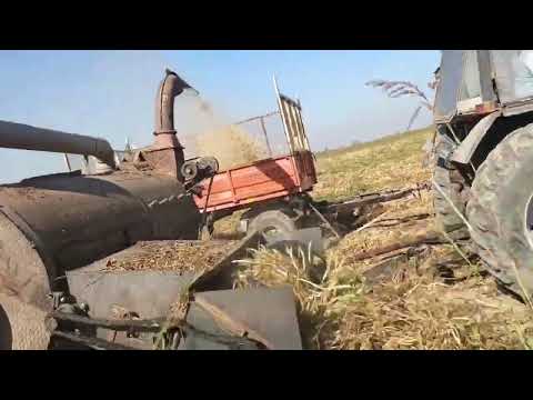 Видео: 3 ноября 2025 г.