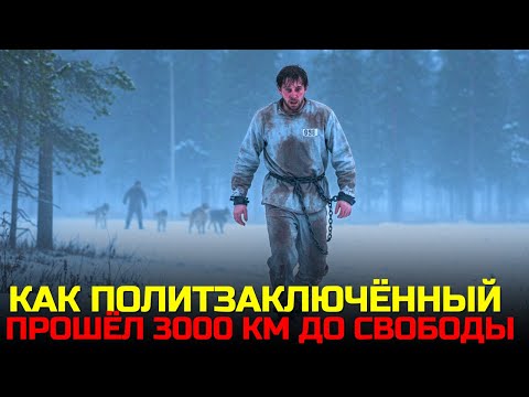 Видео: В кандалах по тайге: Выживание в -40° без еды